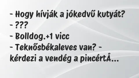 Vicc: – Hogy hívják a jókedvű kutyát?
– ???
– Bolldog. Vicc: – Hogy hívják a jókedvű kutyát?
– ???
– Bolldog.