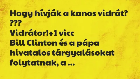 Vicc: Hogy hívják a kanos vidrát?

???

Vidrátor!
