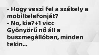Vicc: – Hogy veszi fel a székely a mobiltelefonját?
– No, kia? Vicc: – Hogy veszi fel a székely a mobiltelefonját?
– No, kia?