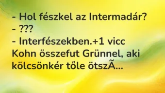 Vicc: – Hol fészkel az Intermadár?
– ???
– Interfészekben. Vicc: – Hol fészkel az Intermadár?
– ???
– Interfészekben.