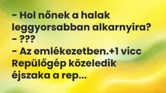 Vicc: – Hol nőnek a halak leggyorsabban alkarnyira?

– ???

– Az…