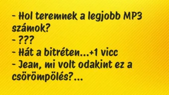 Vicc: – Hol teremnek a legjobb MP3 számok?

– ???

– Hát a…