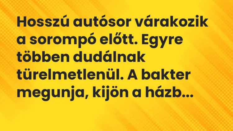 Vicc: Hosszú autósor várakozik a sorompó előtt. Egyre többen dudálnak… Vicc: Hosszú autósor várakozik a sorompó előtt. Egyre többen dudálnak…