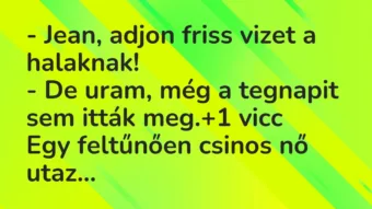 Vicc: – Jean, adjon friss vizet a halaknak!
– De uram, még a tegnapit… Vicc: – Jean, adjon friss vizet a halaknak!
– De uram, még a tegnapit…