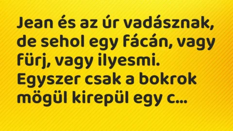 Vicc: Jean és az úr vadásznak, de sehol egy fácán, vagy fürj, vagy ilyesmi….