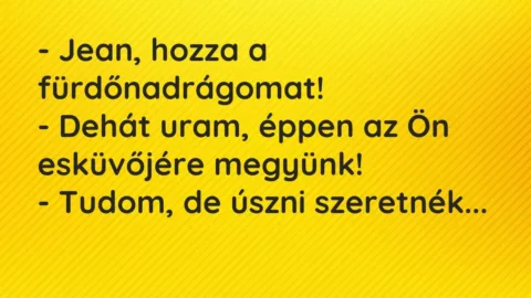 Vicc: – Jean, hozza a fürdőnadrágomat!
– Dehát uram, éppen az Ön… Vicc: – Jean, hozza a fürdőnadrágomat!
– Dehát uram, éppen az Ön…