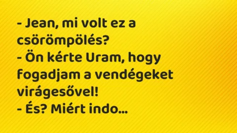 Vicc: – Jean, mi volt ez a csörömpölés?

– Ön kérte Uram, hogy fogadjam…