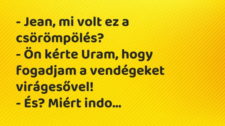 Vicc: – Jean, mi volt ez a csörömpölés?
– Ön kérte Uram, hogy fogadjam… Vicc: – Jean, mi volt ez a csörömpölés?
– Ön kérte Uram, hogy fogadjam…