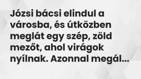 Vicc: Józsi bácsi elindul a városba, és útközben meglát egy szép, zöld mezőt…