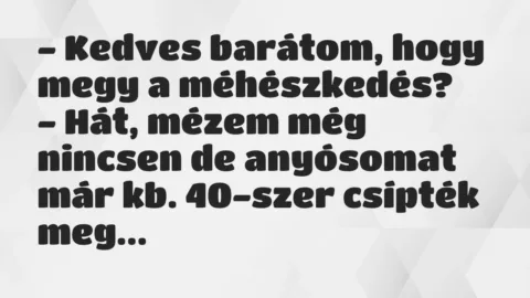 Vicc: – Kedves barátom, hogy megy a méhészkedés?

– Hát, mézem még…