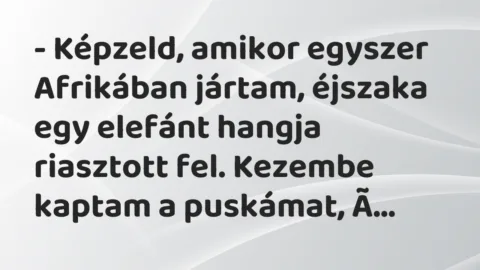 Vicc: – Képzeld, amikor egyszer Afrikában jártam, éjszaka egy elefánt hangja…