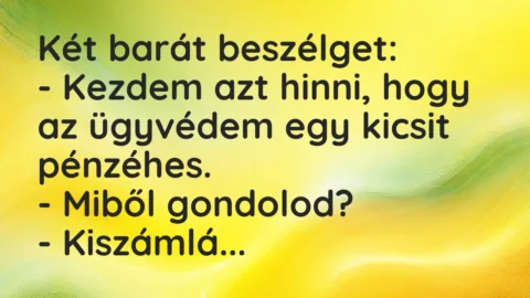 Vicc: Két barát beszélget:

– Kezdem azt hinni, hogy az ügyvédem egy…