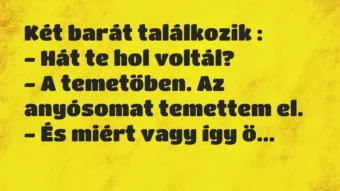 Vicc: Két barát találkozik :

– Hát te hol voltál?

– A temetőben. A…