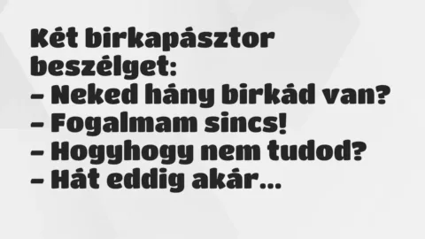 Vicc: Két birkapásztor beszélget:

– Neked hány birkád van?

-…