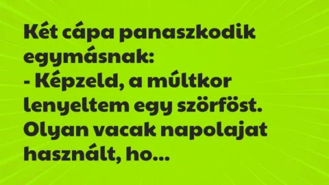 Vicc: Két cápa panaszkodik egymásnak:

– Képzeld, a múltkor lenyeltem…