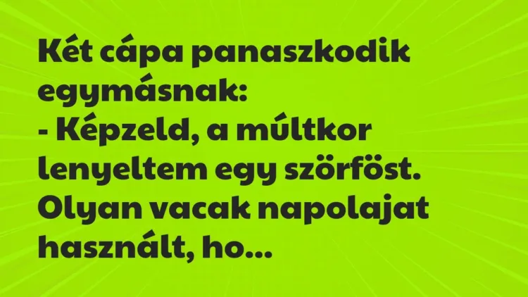 Vicc: Két cápa panaszkodik egymásnak:
– Képzeld, a múltkor lenyeltem… Vicc: Két cápa panaszkodik egymásnak:
– Képzeld, a múltkor lenyeltem…