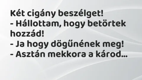 Vicc: Két cigány beszélget!

– Hállottam, hogy betörtek hozzád!

-…
