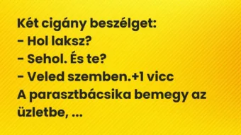 Vicc: Két cigány beszélget:

– Hol laksz?

– Sehol. És te?

-…