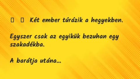 Vicc: 
	    	    Két ember túrázik a hegyekben.


Egyszer csak az…
