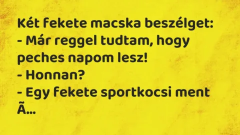 Vicc: Két fekete macska beszélget:

– Már reggel tudtam, hogy peches…