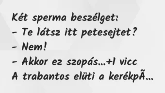 Vicc: Két sperma beszélget:

– Te látsz itt petesejtet?

-…
