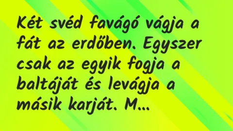 Vicc: Két svéd favágó vágja a fát az erdőben. Egyszer csak az egyik fogja a…