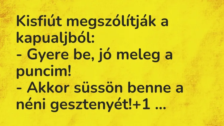 Vicc: Kisfiút megszólítják a kapualjból:
– Gyere be, jó meleg a… Vicc: Kisfiút megszólítják a kapualjból:
– Gyere be, jó meleg a…