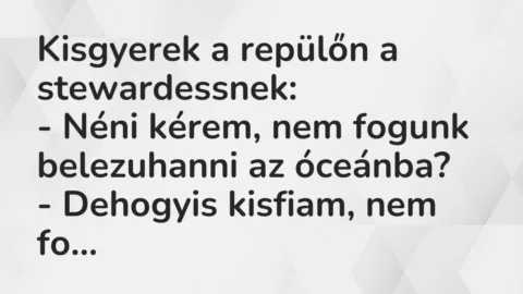 Vicc: Kisgyerek a repülőn a stewardessnek:

– Néni kérem, nem fogunk…
