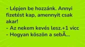 Vicc: – Lépjen be hozzánk. Annyi fizetést kap, amennyit csak akar!

– Az…