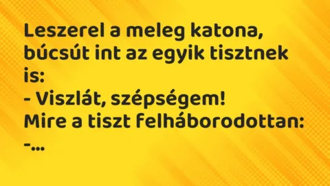 Vicc: Leszerel a meleg katona, búcsút int az egyik tisztnek is:

-…