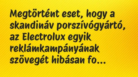Vicc: Megtörtént eset, hogy a skandináv porszívógyártó, az Electrolux egyik…