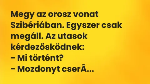 Vicc: Megy az orosz vonat Szibériában. Egyszer csak megáll. Az utasok… Vicc: Megy az orosz vonat Szibériában. Egyszer csak megáll. Az utasok…