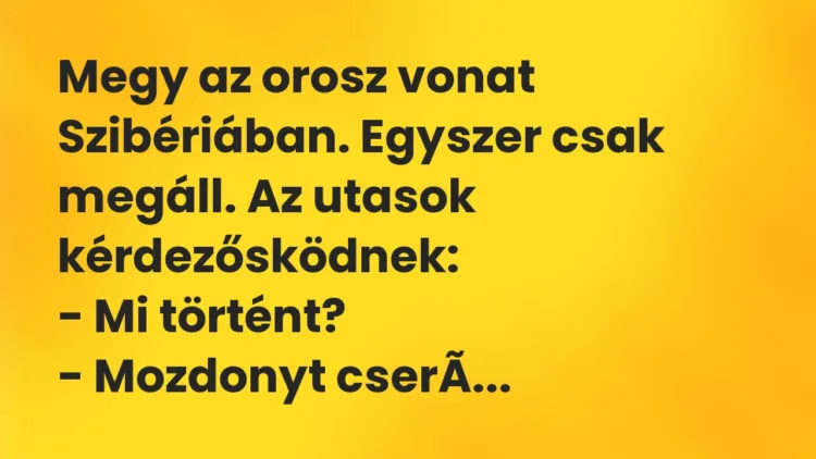 Vicc: Megy az orosz vonat Szibériában. Egyszer csak megáll. Az utasok… Vicc: Megy az orosz vonat Szibériában. Egyszer csak megáll. Az utasok…