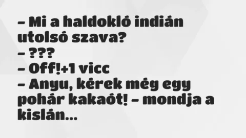 Vicc: – Mi a haldokló indián utolsó szava?

– ???

– Off!