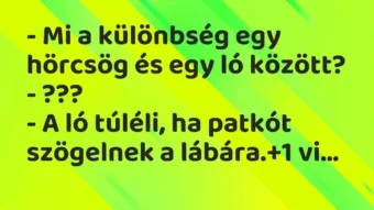 Vicc: – Mi a különbség egy hörcsög és egy ló között?

– ???

– A ló…