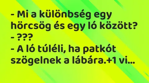 Vicc: – Mi a különbség egy hörcsög és egy ló között?
– ???
– A ló… Vicc: – Mi a különbség egy hörcsög és egy ló között?
– ???
– A ló…
