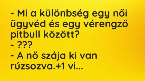 Vicc: – Mi a különbség egy női ügyvéd és egy vérengző pitbull között?

-…