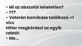 Vicc: – Mi az abszolút lehetetlen?

– ???

– Veterán kamikaze…