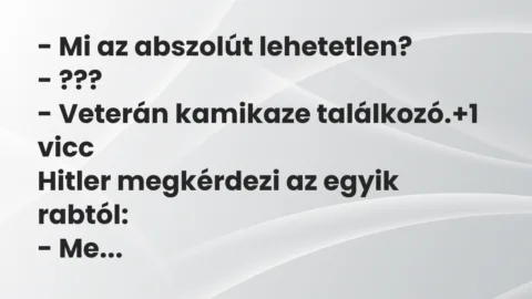 Vicc: – Mi az abszolút lehetetlen?
– ???
– Veterán kamikaze… Vicc: – Mi az abszolút lehetetlen?
– ???
– Veterán kamikaze…