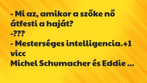 Vicc: – Mi az, amikor a szőke nő átfesti a haját?

-???

-…