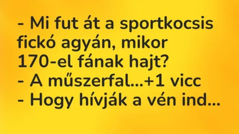 Vicc: – Mi fut át a sportkocsis fickó agyán, mikor 170-el fának hajt?

-…