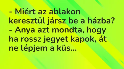 Vicc: – Miért az ablakon keresztül jársz be a házba?

– Anya azt mondta,…