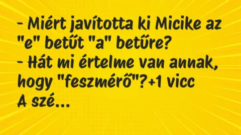 Vicc: – Miért javította ki Micike az “e” betűt “a” betűre?
– Hát mi… Vicc: – Miért javította ki Micike az “e” betűt “a” betűre?
– Hát mi…
