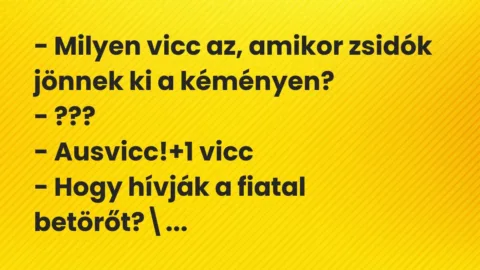 Vicc: – Milyen vicc az, amikor zsidók jönnek ki a kéményen?

-…