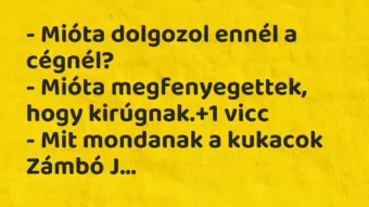 Vicc: – Mióta dolgozol ennél a cégnél?

– Mióta megfenyegettek, hogy…