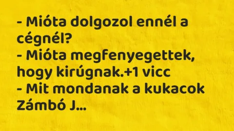 Vicc: – Mióta dolgozol ennél a cégnél?
– Mióta megfenyegettek, hogy… Vicc: – Mióta dolgozol ennél a cégnél?
– Mióta megfenyegettek, hogy…