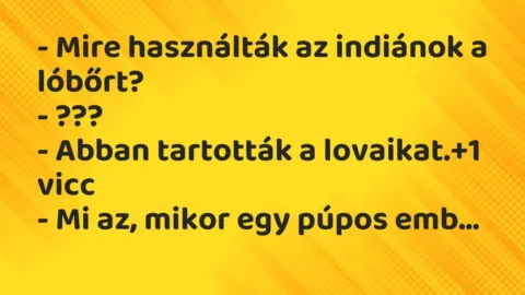 Vicc: – Mire használták az indiánok a lóbőrt?

– ???

– Abban…