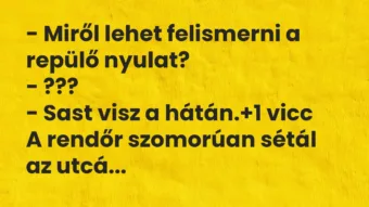 Vicc: – Miről lehet felismerni a repülő nyulat?
– ???
– Sast visz… Vicc: – Miről lehet felismerni a repülő nyulat?
– ???
– Sast visz…