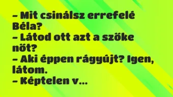 Vicc: – Mit csinálsz errefelé Béla?
– Látod ott azt a szőke… Vicc: – Mit csinálsz errefelé Béla?
– Látod ott azt a szőke…