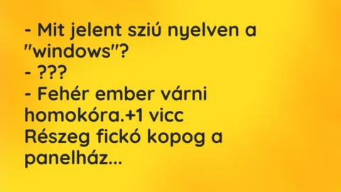 Vicc: – Mit jelent sziú nyelven a “windows”?
– ???
– Fehér ember… Vicc: – Mit jelent sziú nyelven a “windows”?
– ???
– Fehér ember…